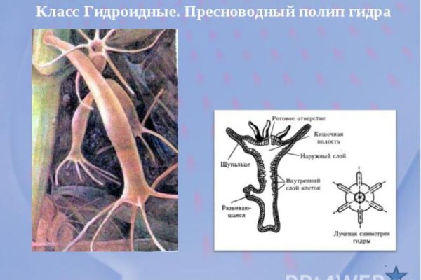 Кракен сайт работает