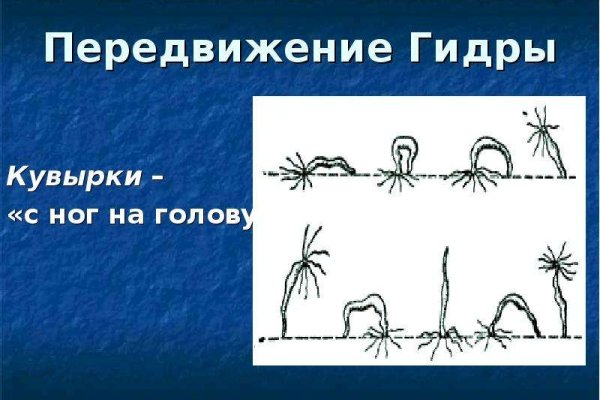 Kraken сайт kraken clear com