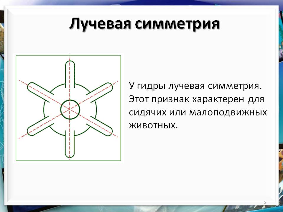 Кракен магазин даркнет