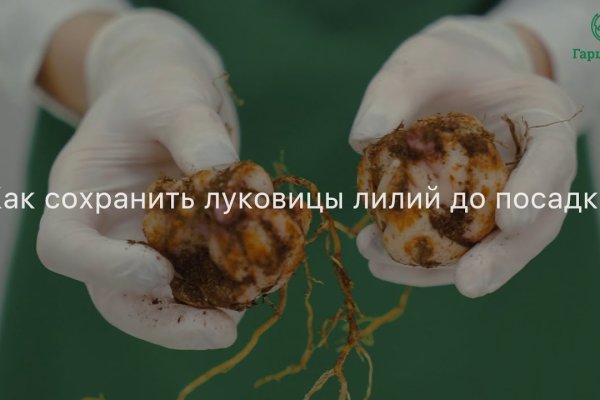 Kraken маркетплейс официальный