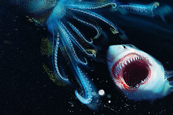 Кракен магазин krakens13 at