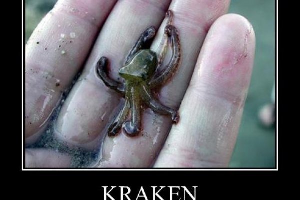 Даркнет каталог