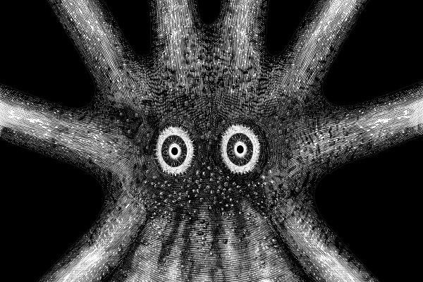 Kraken в россии