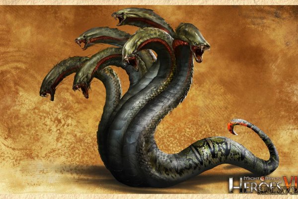 Kraken official