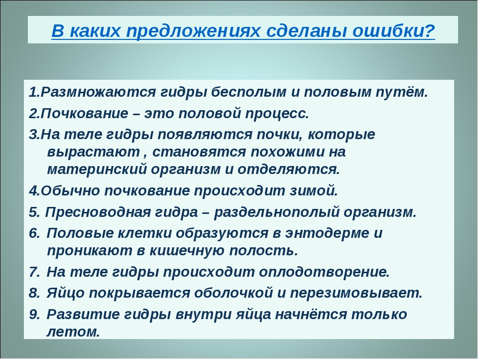 Кракен сайт store